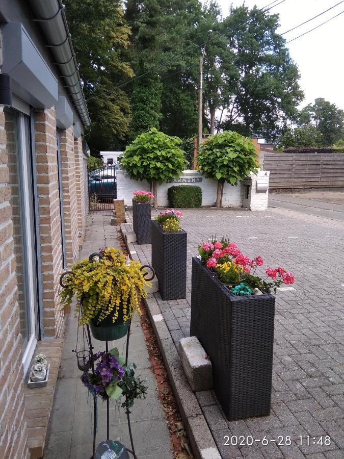 Holiday Home Harmony Brecht Zewnętrze zdjęcie