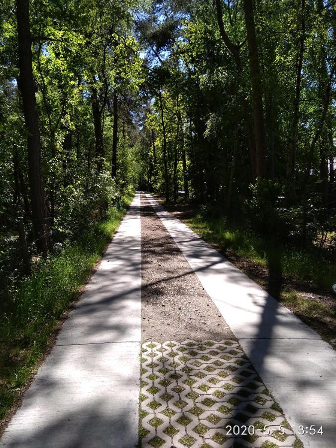 Holiday Home Harmony Brecht Zewnętrze zdjęcie